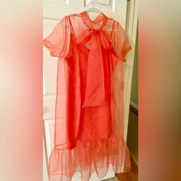 BHLDN Charlotte Short-Sleeve Organza Midi Dress size XL - Picture 2 of 10